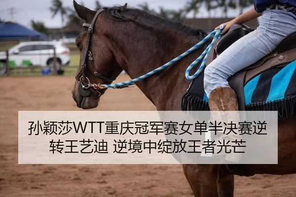孙颖莎WTT重庆冠军赛女单半决赛逆转王艺迪 逆境中绽放王者光芒
